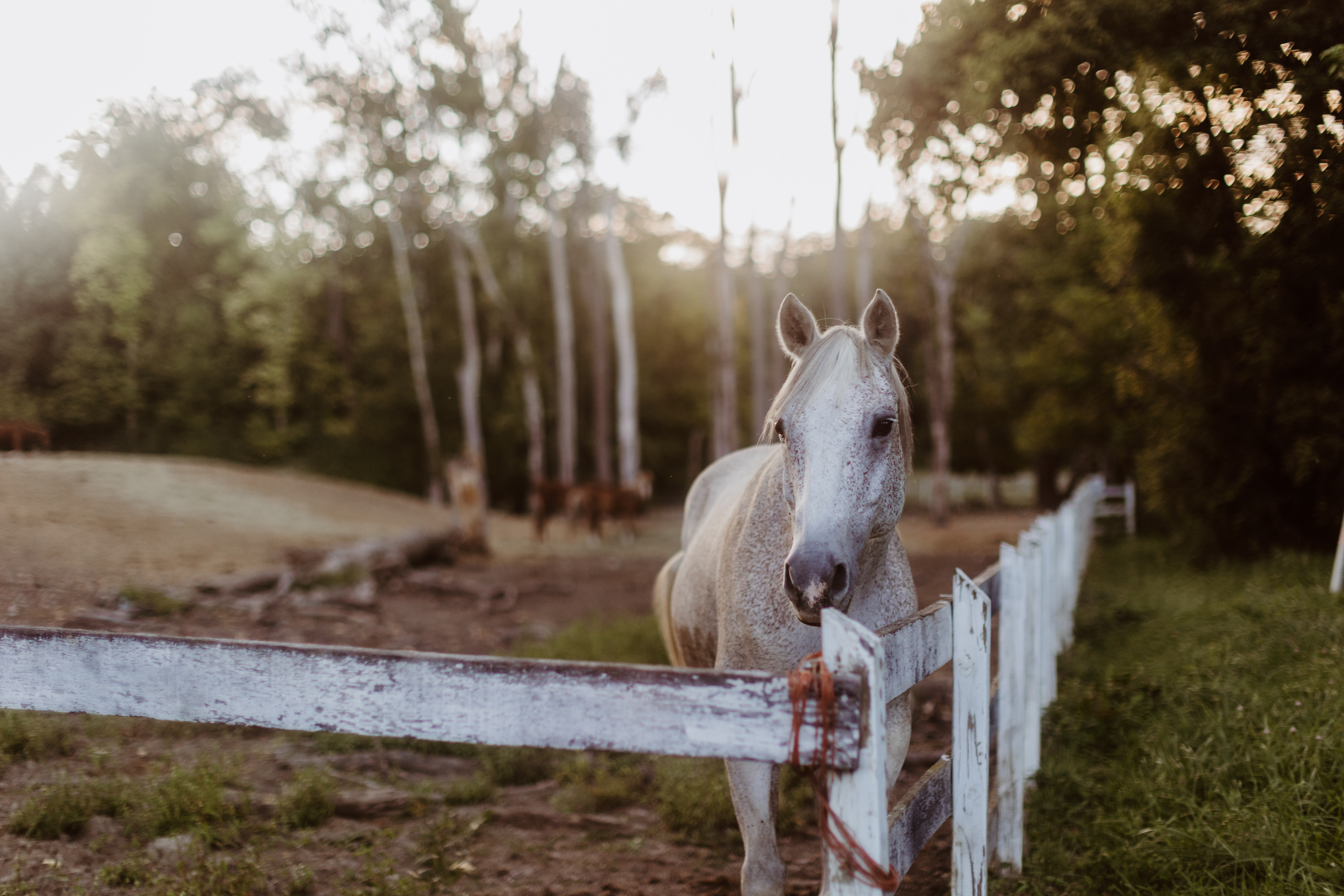 The Ultimate Staycation Guide for Spring Break in Brownsburg