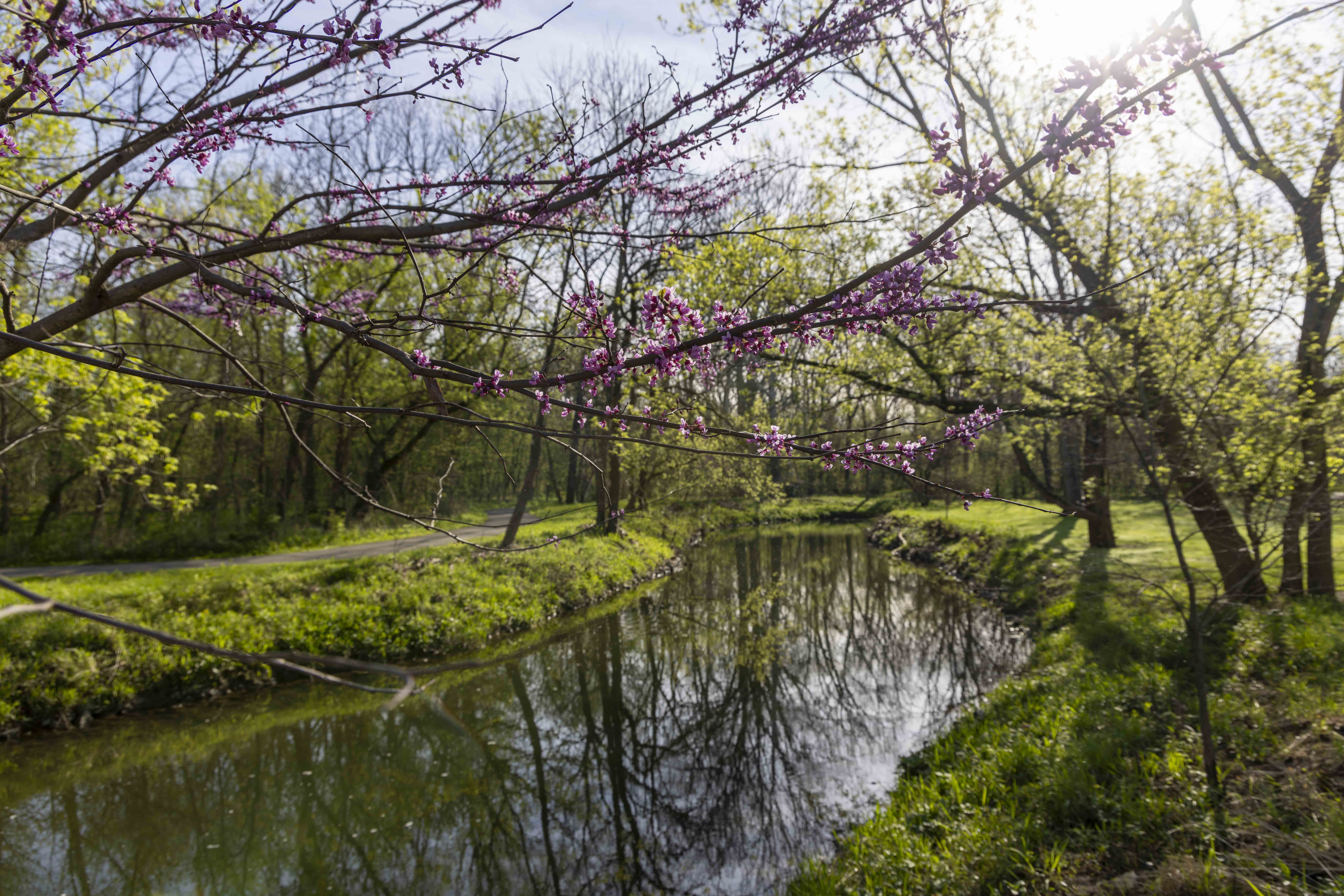 Spring Prep Underway as Brownsburg Parks and Streets Get Ready for Warmer Weather